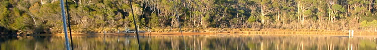 Sailing Story - Muddy Creek - Port Sorell, Tasmania